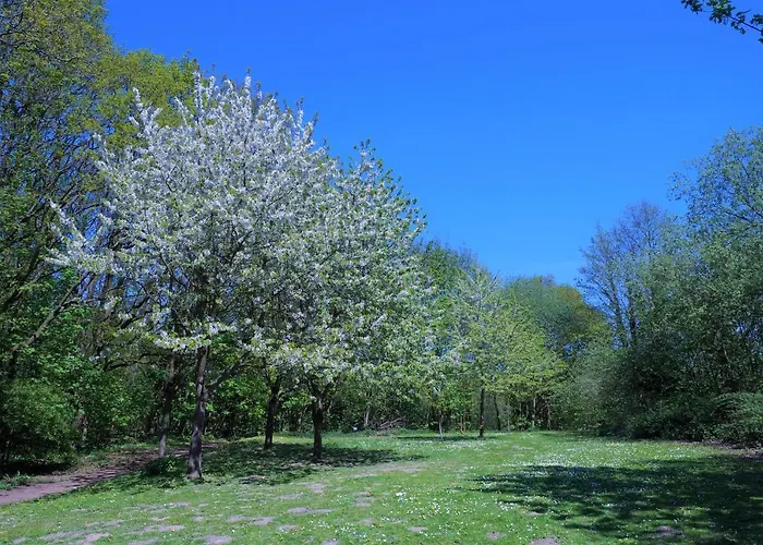 Panoramic App A03-5
